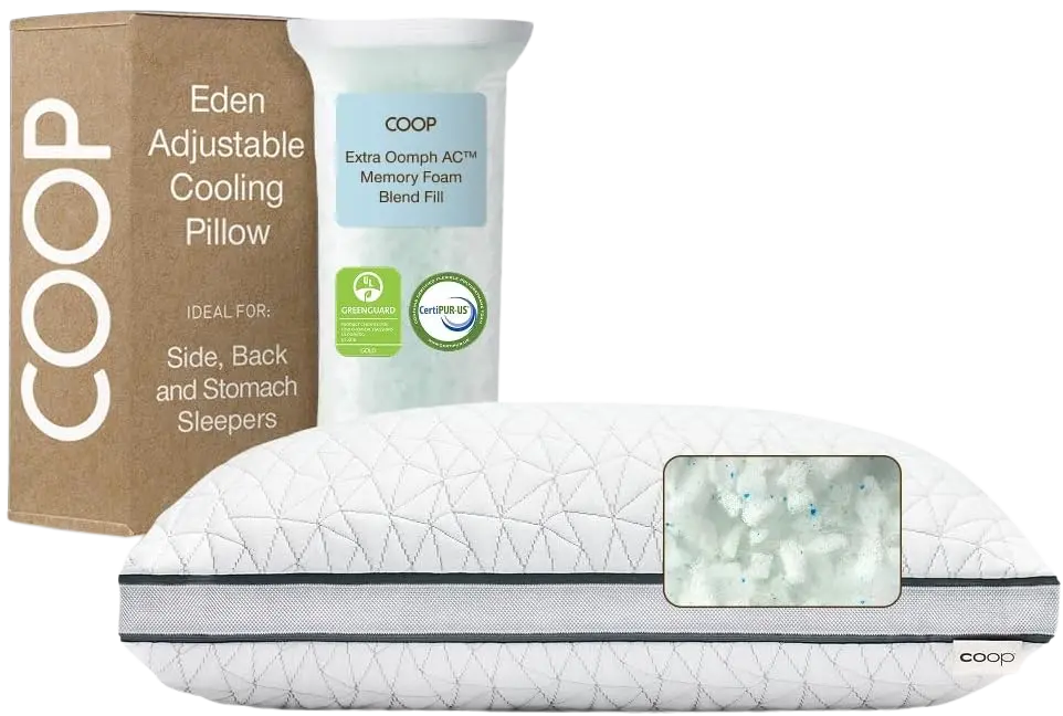 Coop Home Goods Eden Bed Pillow Queen Size